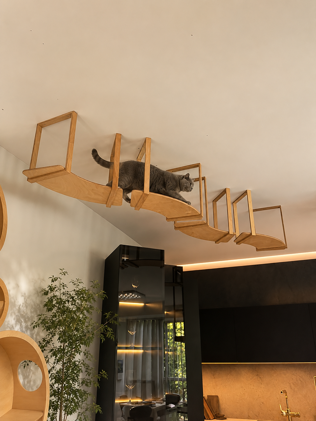 Ceiling mounted cat shelves combined with wall mounted cat houses in a modern cat climbing system