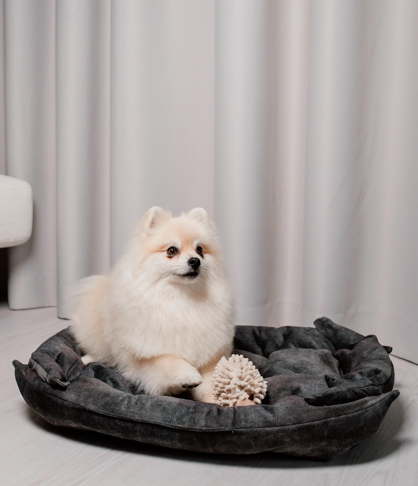 Modern Dog Pillow - Constructor for Puppies