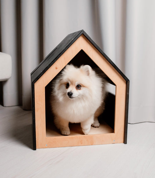 Wooden indoor dog house bed with cute puppy inside – modern pet furniture