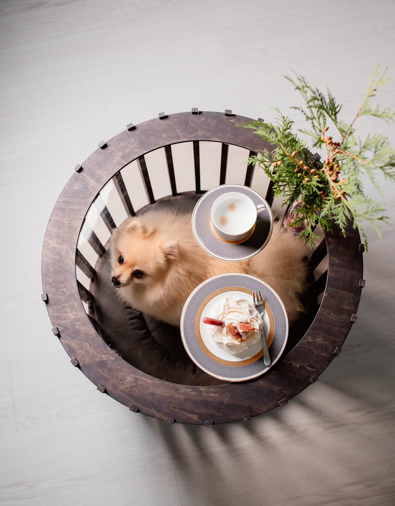 Modern Dog House - Coffee Table. Dark Dog Crate Puppies House Dog Bed