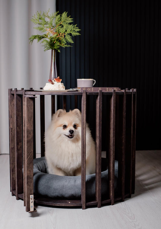 Small dog inside dark wooden coffee table kennel with glass top – multifunctional pet crate furniture.