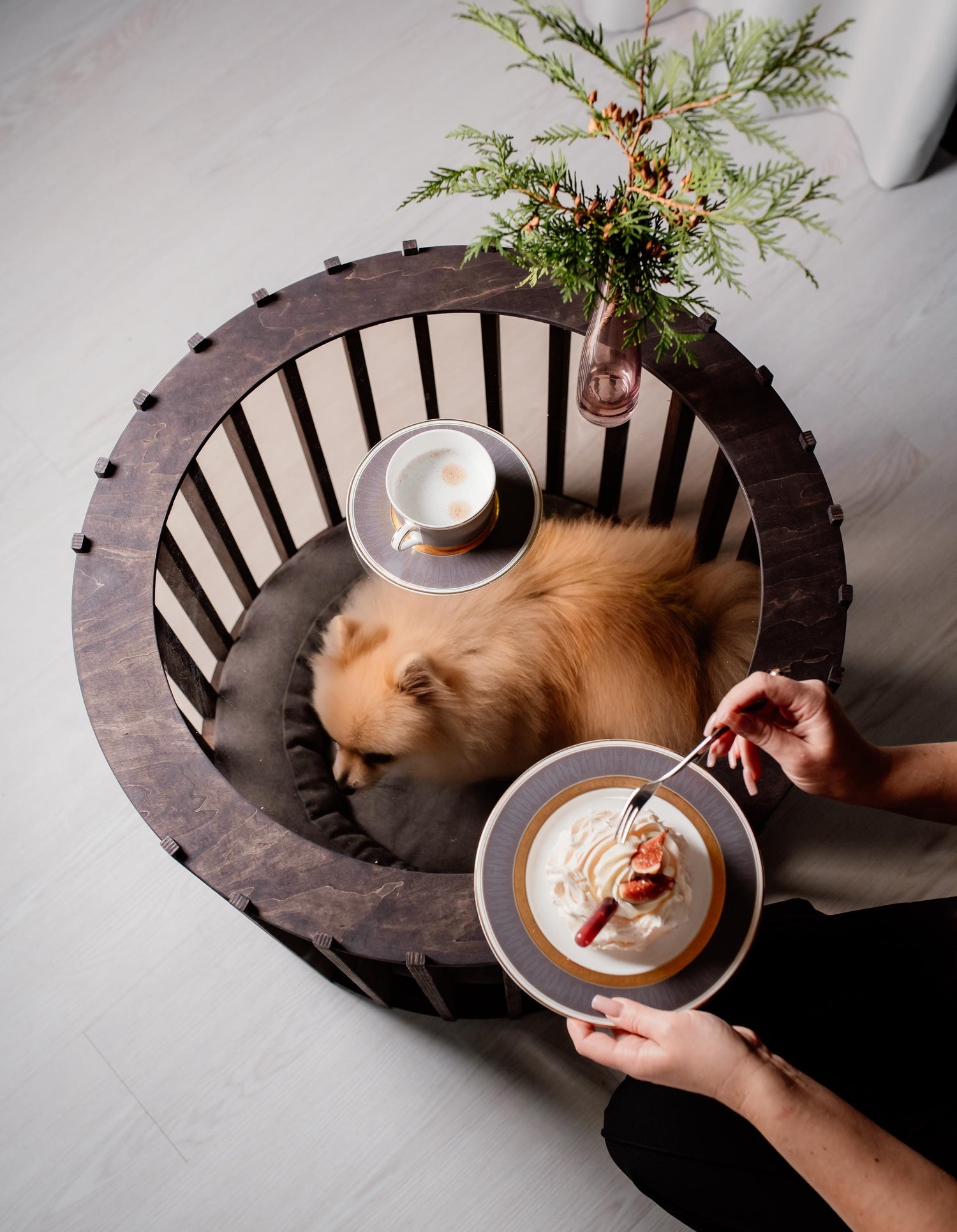 Dark designer dog crate coffee table – minimalist pet furniture