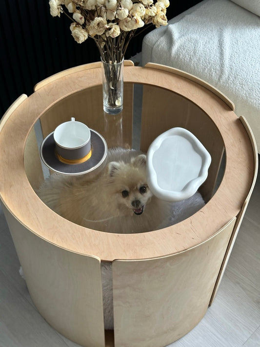 Light Luxury Dog House Table — Contemporary Pet-Friendly Design