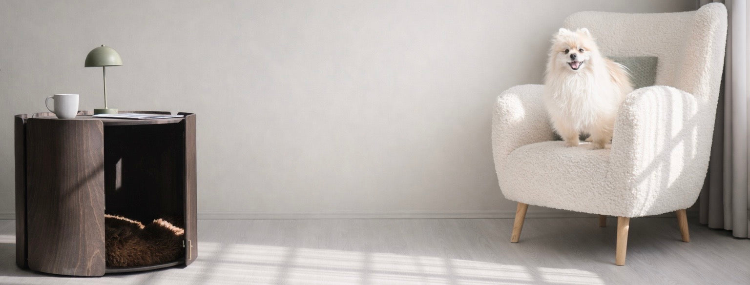 Puppy home - modern wooden dog house coffee table with cozy bed and small fluffy dog on armchair in minimalist living room