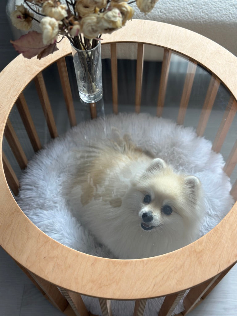 Small dog resting inside a wooden dog house coffee table