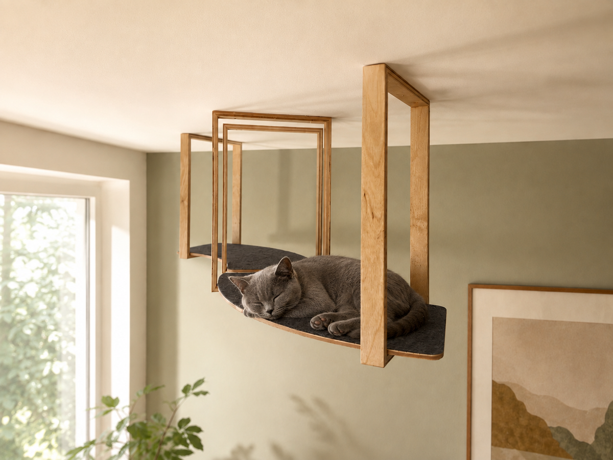Hanging cat shelves mounted to the ceiling with comfortable platforms for resting cats