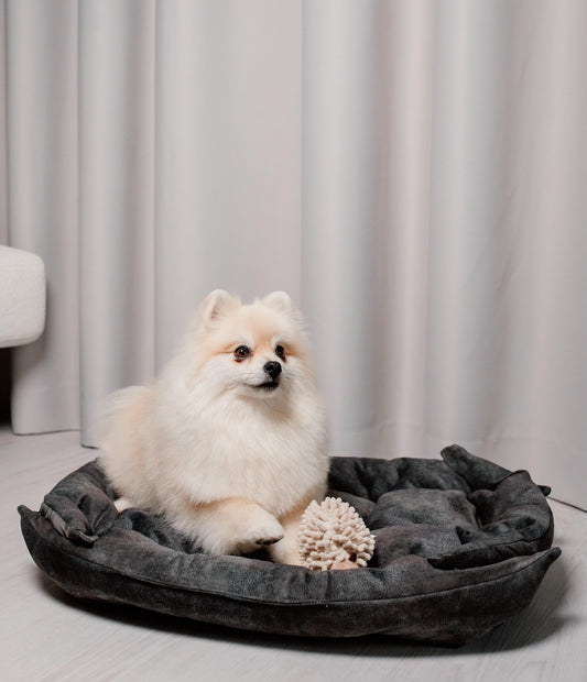 Modern Dog Pillow - Constructor for Puppies