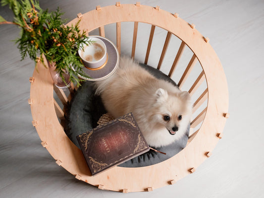 Dog House - Coffee Table. Light Dog Crate Wooden Dog House Dog Shelter Handmade Dog House Small Dog House Insulated Dog House