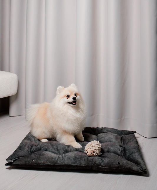 Modern Dog Bed - Designer for Dogs Pillow for Puppy Custom Dog Bed Dog House