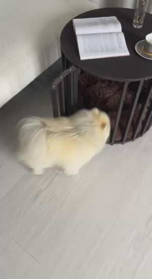 Modern dog crate coffee table with hidden dog bed, small dog resting inside, black round wooden pet furniture for living room