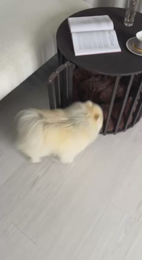 Modern dog crate coffee table with hidden dog bed, small dog resting inside, black round wooden pet furniture for living room