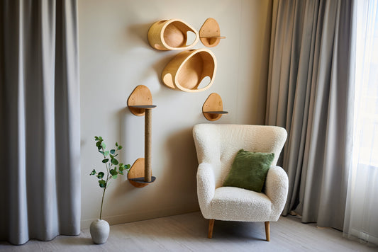 Modern cat wall set with S and M cat houses two floating shelves and scratching post for indoor cats