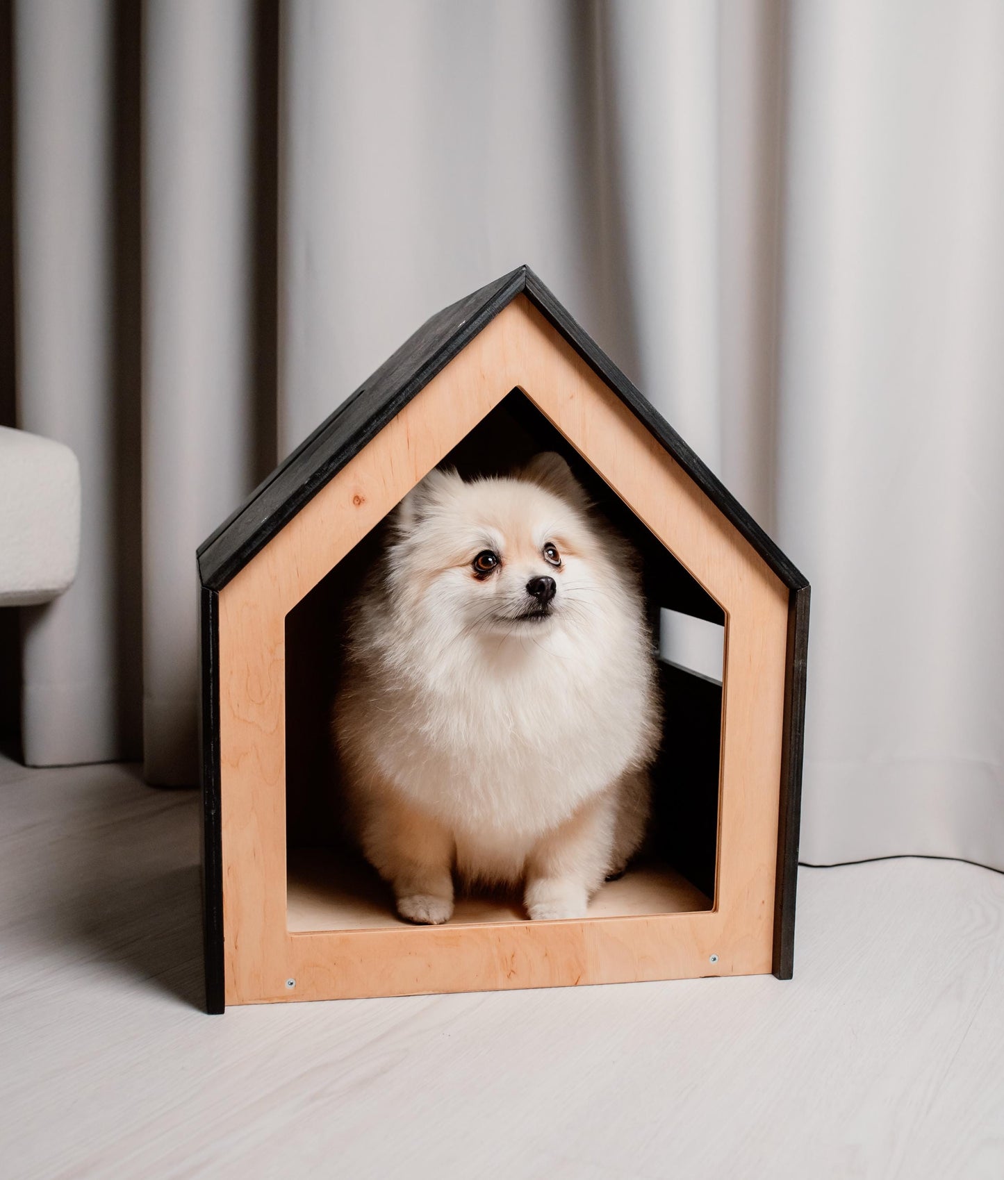 Small Pomeranian in wooden pet house with open front used as indoor dog bed