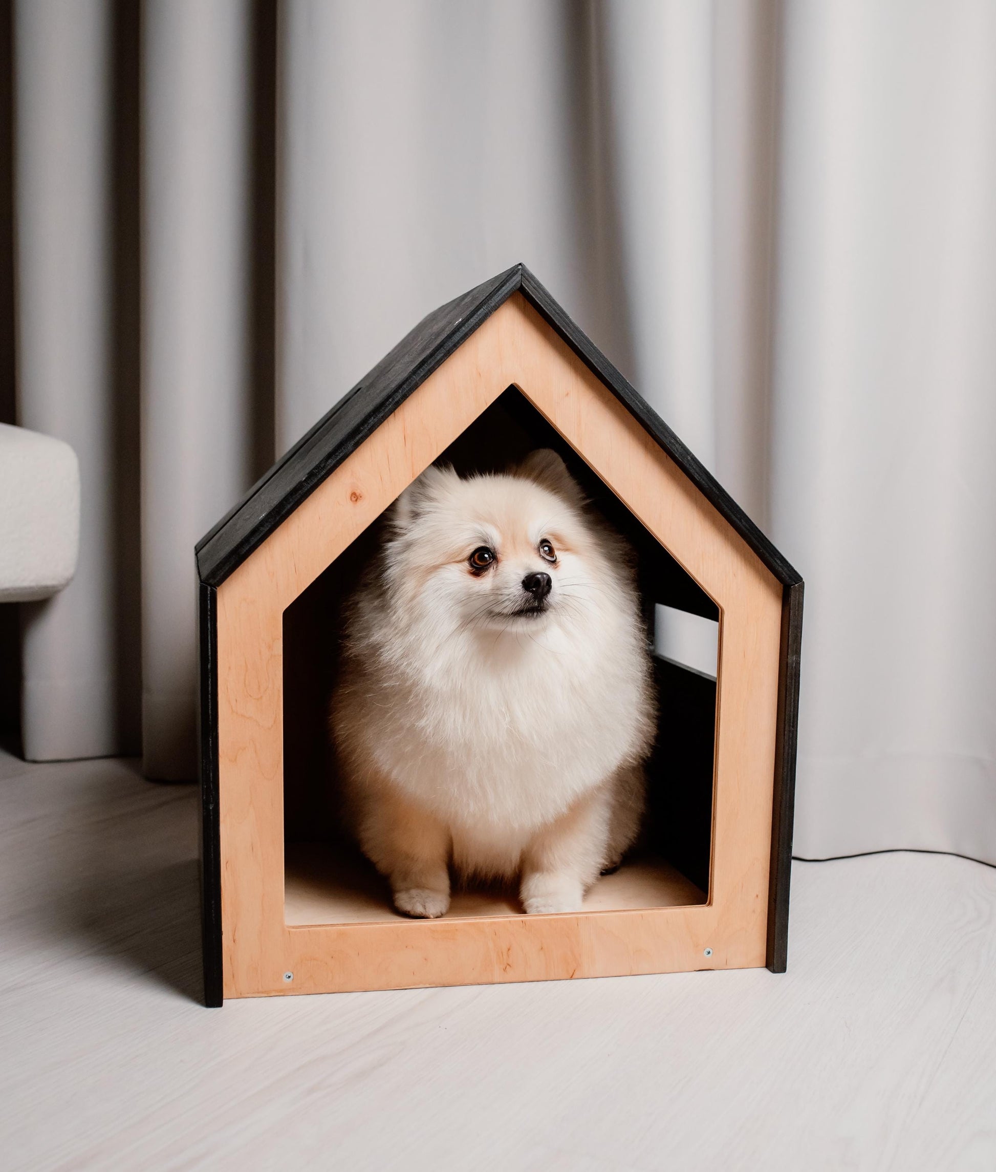 Small Pomeranian in wooden pet house with open front used as indoor dog bed