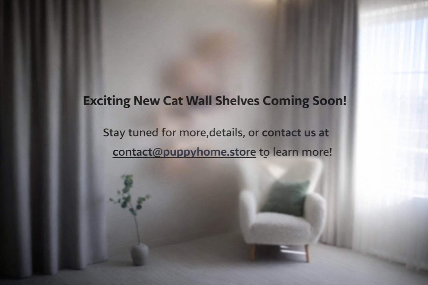 Modern wall mounted cat feeding station with wooden shelf and double bowls, minimalist cat wall furniture design