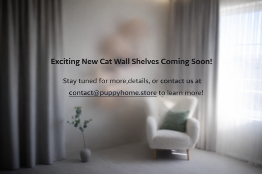 Modern wall mounted cat feeding station with wooden shelf and double bowls, minimalist cat wall furniture design